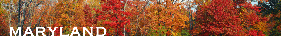 Maryland