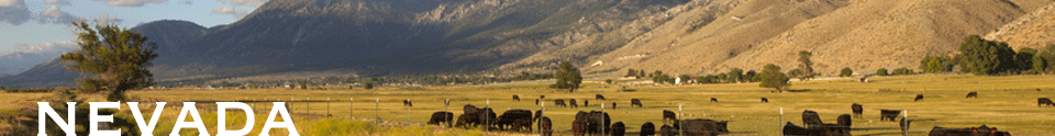 Nevada