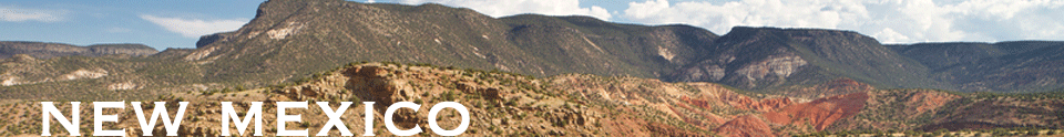 New Mexico